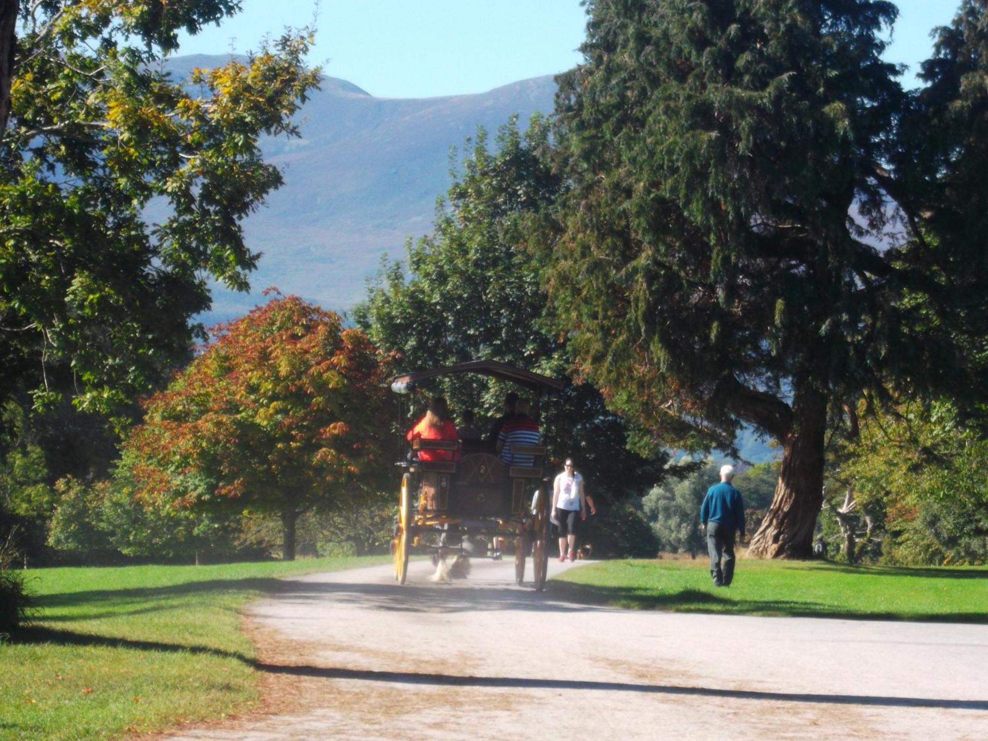 Kerry Holiday Homes At The Killarney Holiday Village Екстер'єр фото