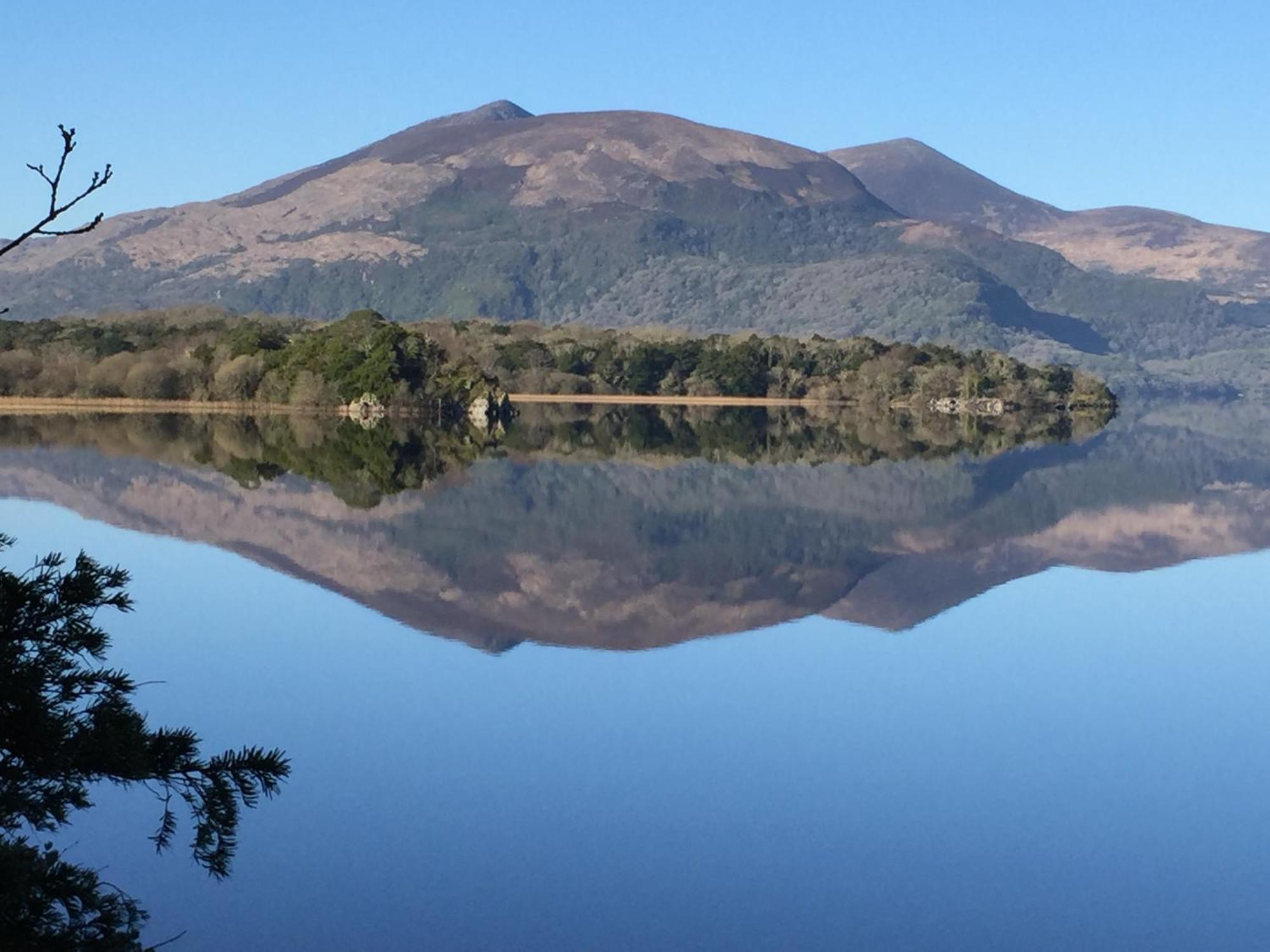 Kerry Holiday Homes At The Killarney Holiday Village Екстер'єр фото