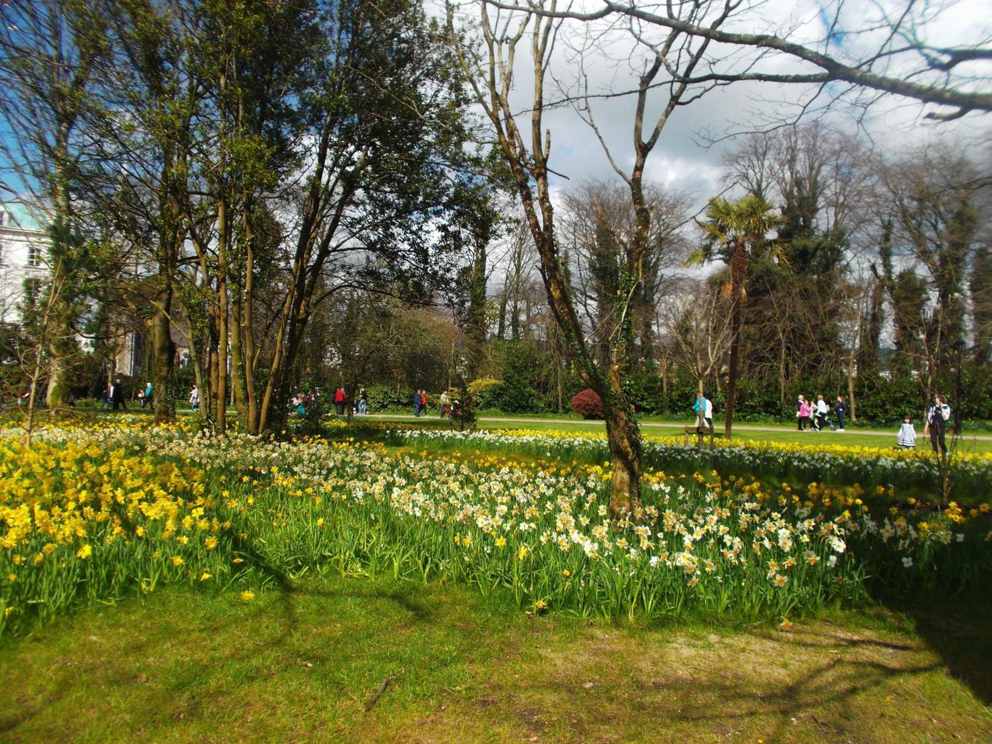 Kerry Holiday Homes At The Killarney Holiday Village Екстер'єр фото